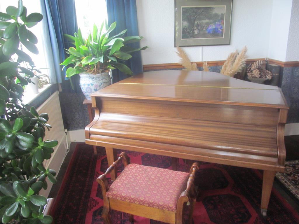 Upton Cross B&B Bude Εξωτερικό φωτογραφία